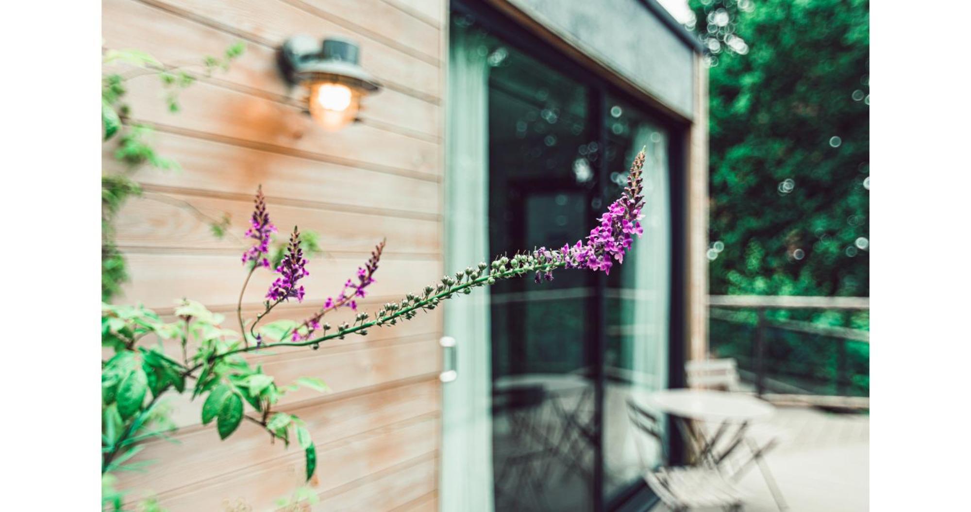 Clophill Eco Lodges 外观 照片